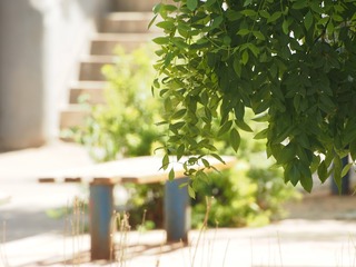 P6160028