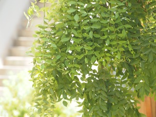 P6160033
