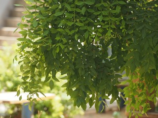 P6160032