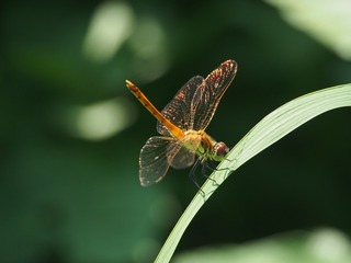 P7040058