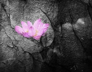 _mg_3402a__1