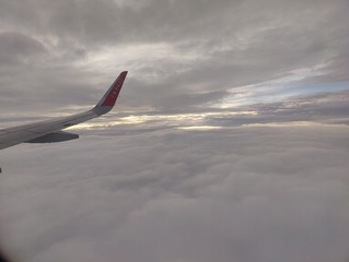 1000059636