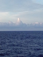 509