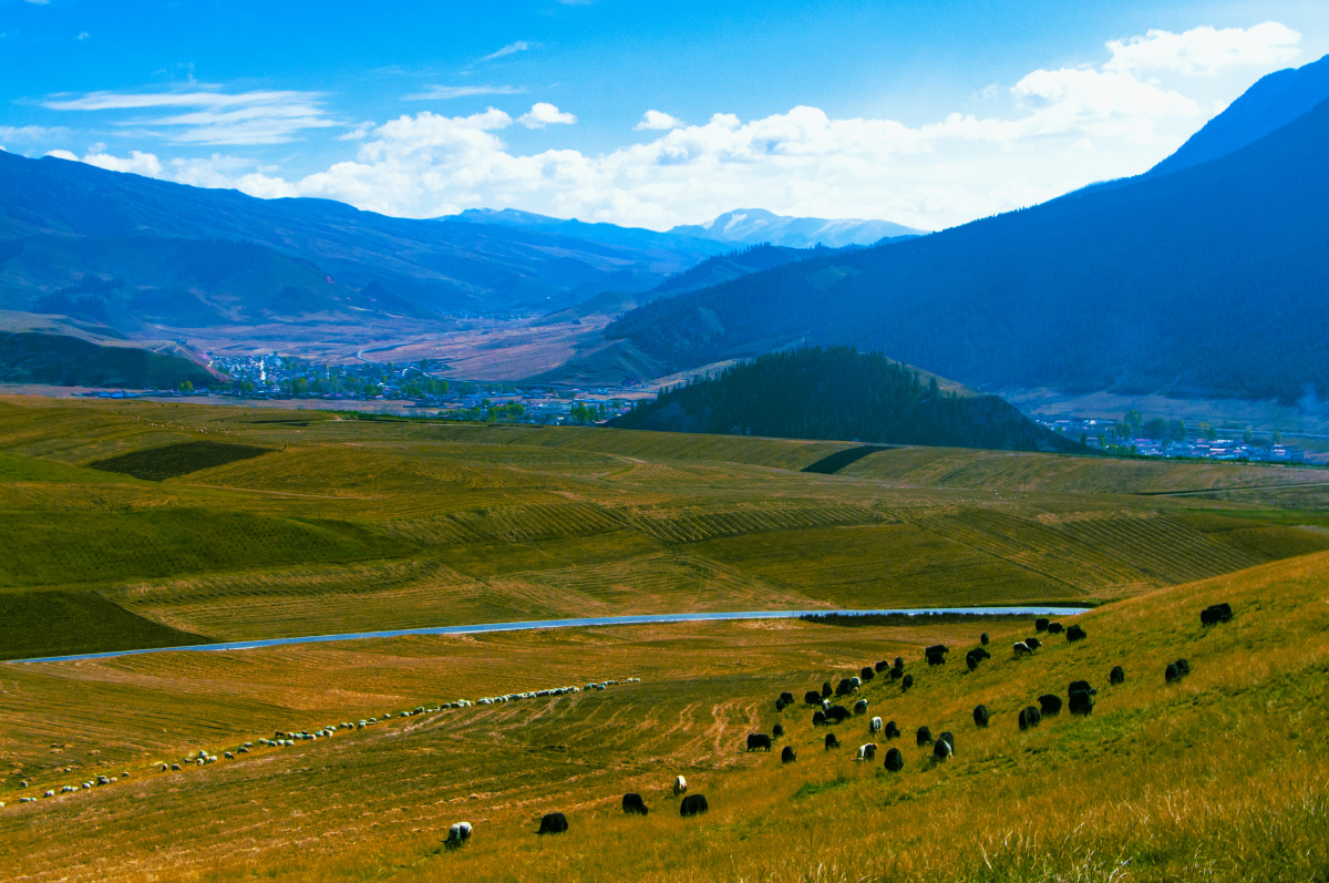 卓尔山 - 许金梁 - 图虫