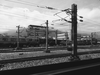 5215956