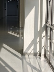 1000005117