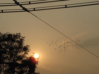43EF1DCA-21E9-4E5C-AC49-8A677B342CBF/L0/001