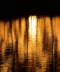 0F008A9A-2F6B-48BF-86E7-9895F245E1B9/L0/001