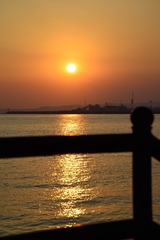 243C6C4F-75B2-48F8-9950-6EC565022A2B/L0/001