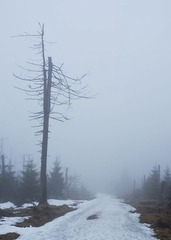 SDIM0548