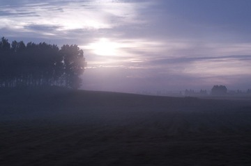 _TNW2950