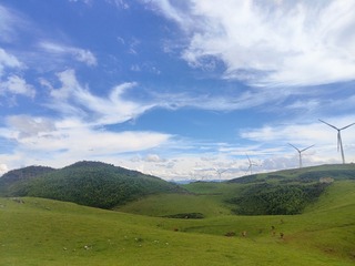 1000036737