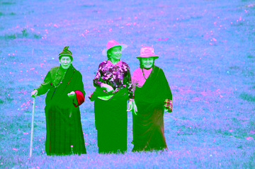 C01287AE-B359-48A1-A7C3-0A48AB8FA8CA/L0/001