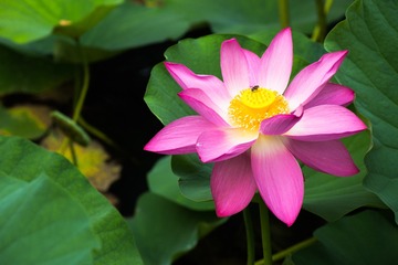 _MG_6054-1