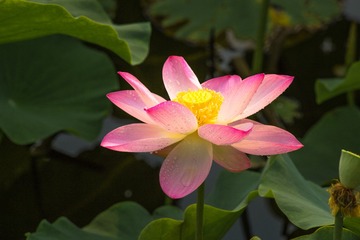 _MG_6022-1