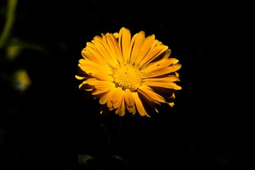IMG_1755-1