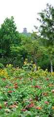 D20C86B9-740D-4AA1-8E36-F67F0652D189/L0/001
