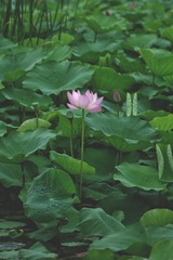 D5D1B0EB-99A5-4729-A9A8-5C82358297D8/L0/001