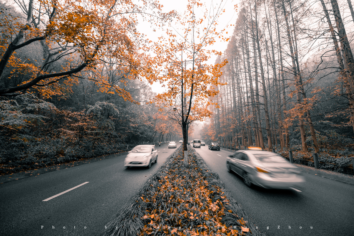 杭州虎跑路… - pianoyao - 图虫