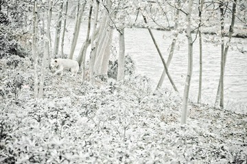 DSC_6901.JPG