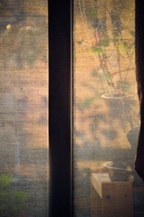 DSC_8057.JPG