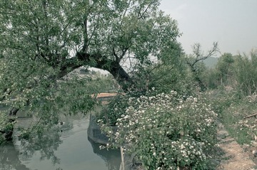 DSC_5569.JPG