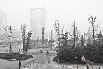DSC_9565.JPG