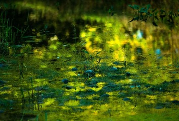 DSC_7751.JPG