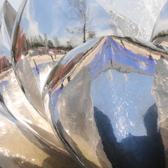 DSC_4806.JPG