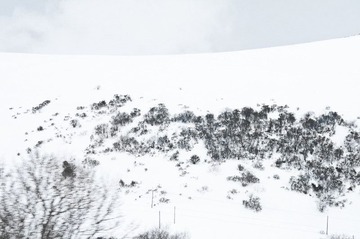 风雪色季拉