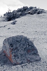 然乌湖清晨之一