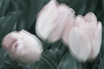 风过