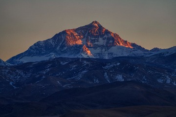 11590