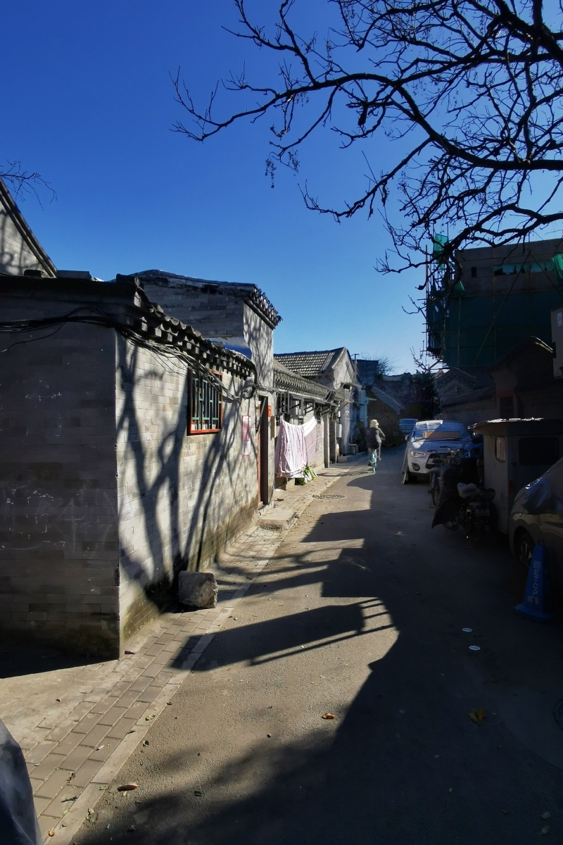 北京胡同秋