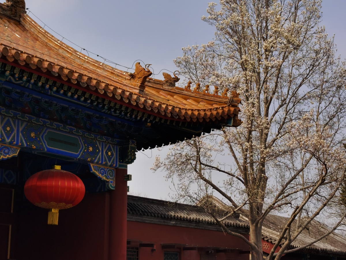 北京景山公园西门一角