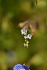 D970973E-FCCF-4C2B-91A9-31C6E860DF26/L0/001