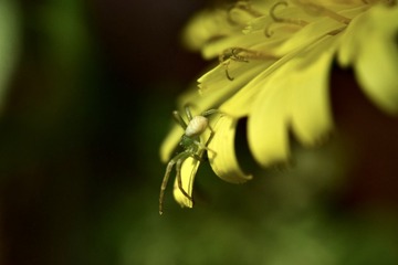 15BD326E-2EF7-478B-85C2-E2EA202F79A5/L0/001