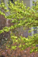 CD288BAB-3446-4D36-9A7B-5F98E7429D97/L0/001