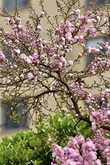 61CA89EB-4060-4652-B911-0F08E475AD91/L0/001