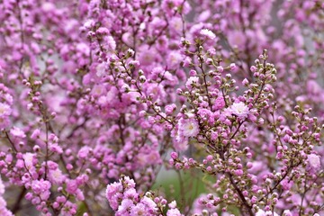 BBB09B7C-E01F-4EF7-9732-C05546430016/L0/001