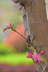 77940B32-987A-4D73-9EF7-764FFB62C4B8/L0/001