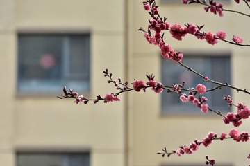 993E4EFB-1676-4B42-A54B-39C3F62F7163/L0/001