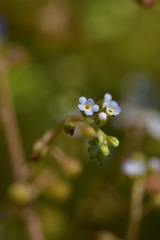 8363B66B-0B77-4E0A-8130-F73C7DFAE274/L0/001