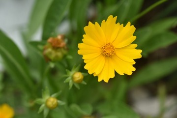 436983E0-B66D-46CF-B721-CD89575764D4/L0/001