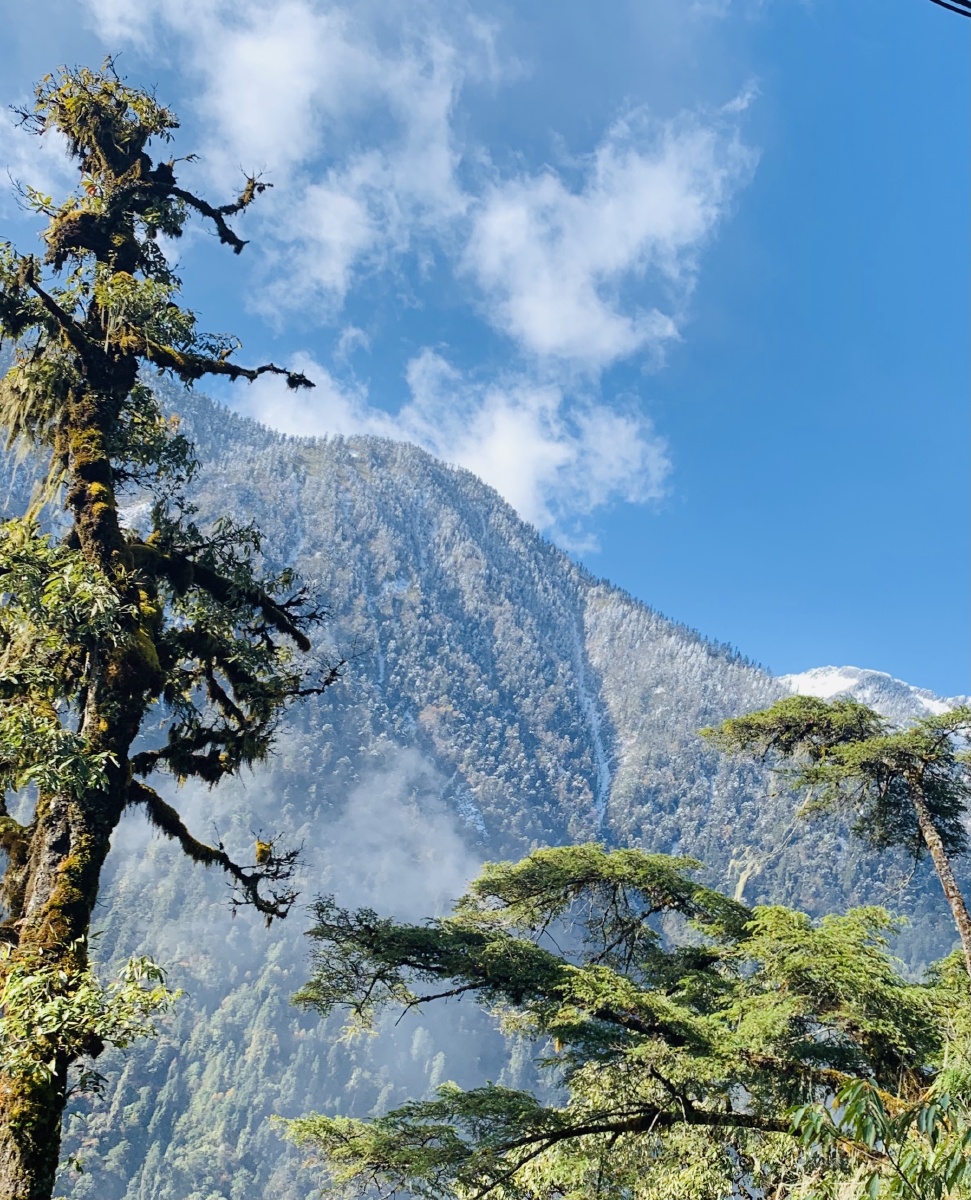 初冬的高黎贡山