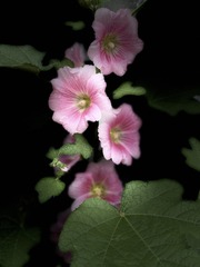 0656D38E-4DF1-41DB-BD69-8D2CE4AD3ACF/L0/001