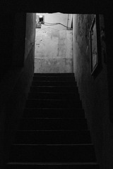 AD1F2E3F-9EF9-4D18-8738-E54F2D666630/L0/001