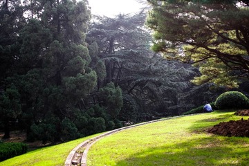 IMG_6062-1