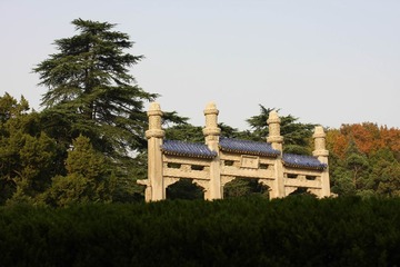 IMG_6082-1