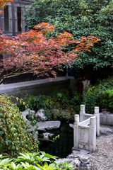 IMG_6095-1